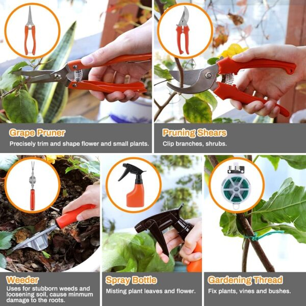 71xNLjFylyL._AC_SL1200_-600×600