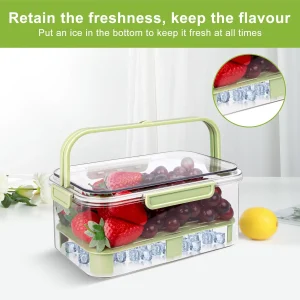 Portable Fruit Fridge Storage Container with Lid