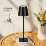 Stepless Diming Rechargeable Table Lamp With 3 Lighting Modes