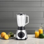 High-Performance Multiple Speed Jug Blender