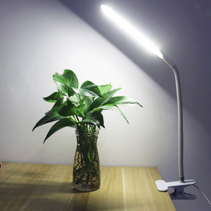 WhatsApp Image 2026-01-05 at 9.58.56 PM