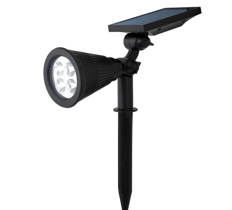 WhatsApp Image 2026-01-07 at 4.52.29 PM