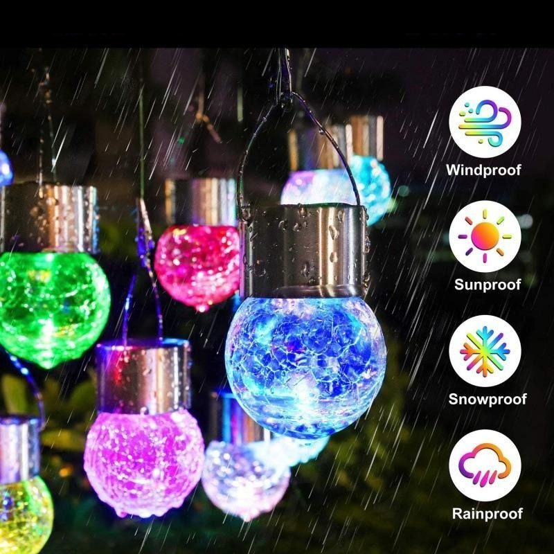 WhatsApp Image 2026-01-08 at 4.10.48 PM