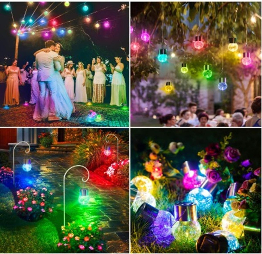 WhatsApp Image 2026-01-08 at 4.12.26 PM