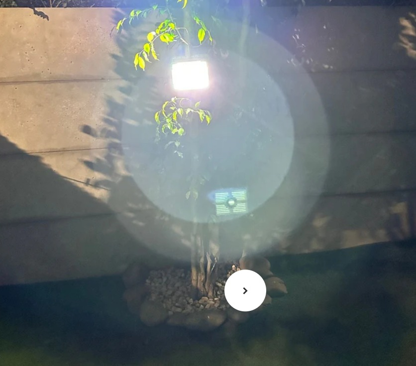 WhatsApp Image 2026-01-08 at 5.44.41 PM