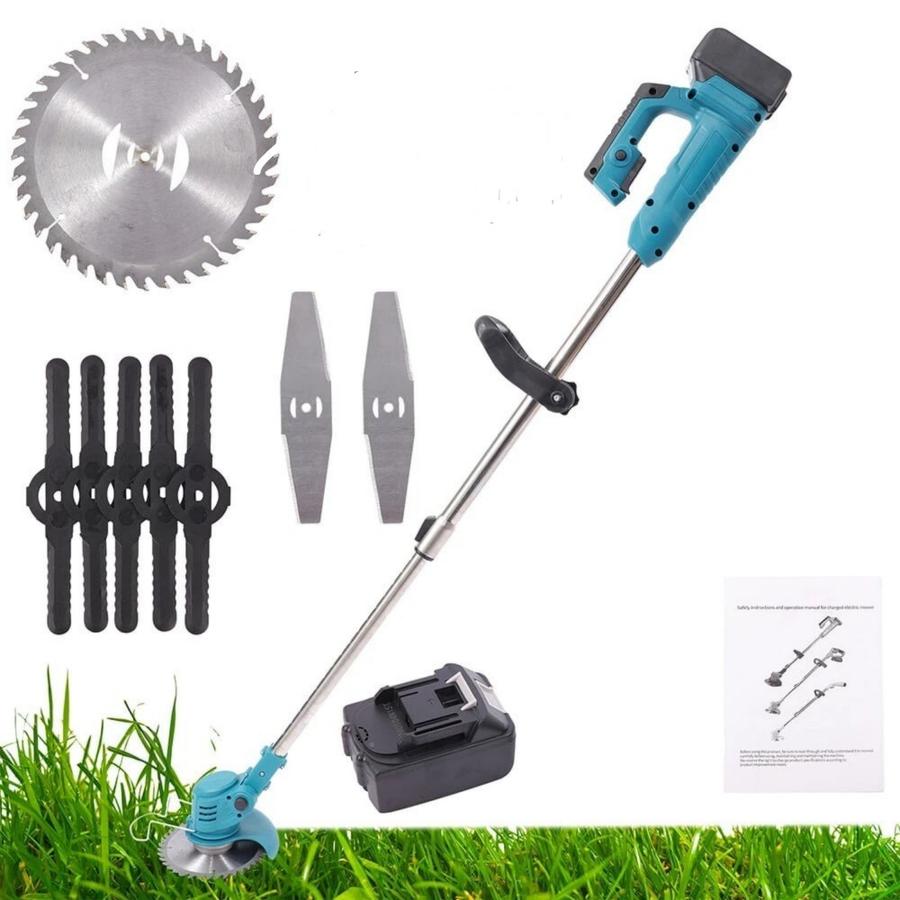 WhatsApp Image 2026-01-11 at 3.13.18 PM