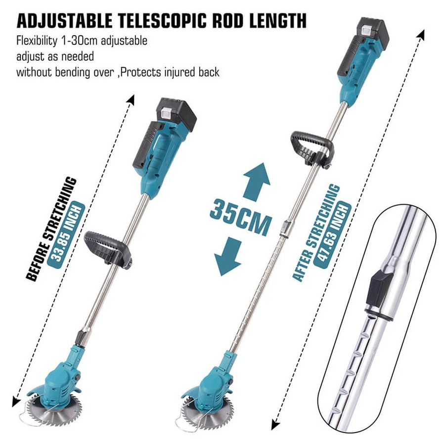 WhatsApp Image 2026-01-11 at 3.13.44 PM