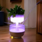 Plant Rain Cloud Humidifier