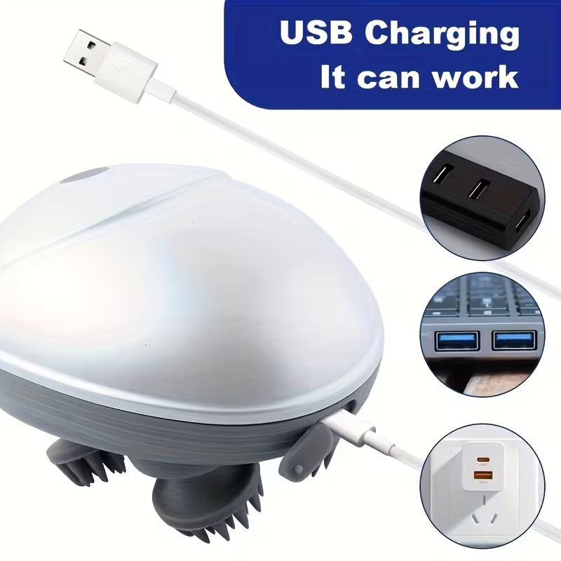 WhatsApp Image 2026-01-22 at 1.07.44 PM