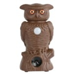 Outdoor Owl Statue with Motion Sensor