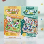 Magnetic Chess Focus and Sensory Play