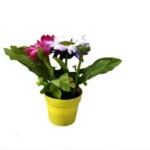 Artificial Plant with Pot