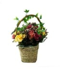 Wild Flower With Pot