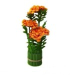 Green Orange Wild Flower With Pot