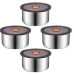 4 Pieces Stainless Steel Box with Silicone Lid