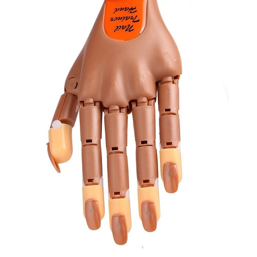 WhatsApp Image 2026-02-23 at 10.32.43 PM