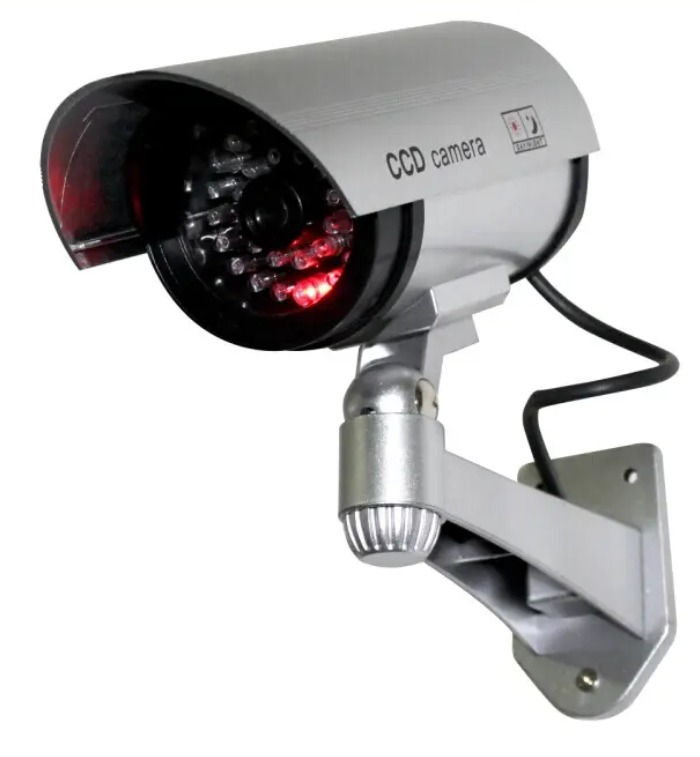 WhatsApp Image 2026-02-25 at 2.30.44 PM