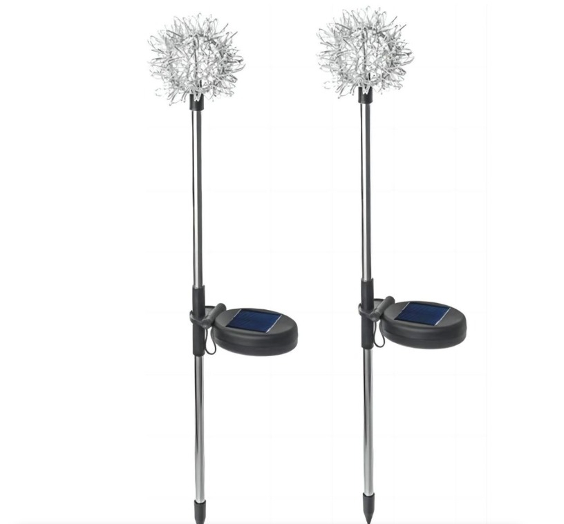 WhatsApp Image 2026-02-25 at 4.34.40 PM