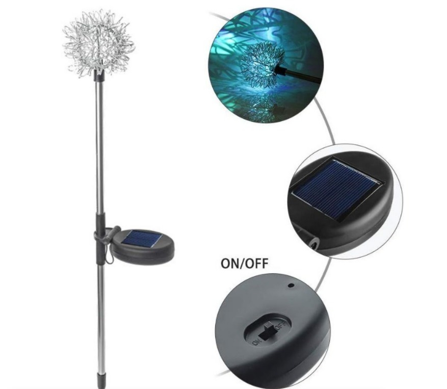 WhatsApp Image 2026-02-25 at 4.35.44 PM