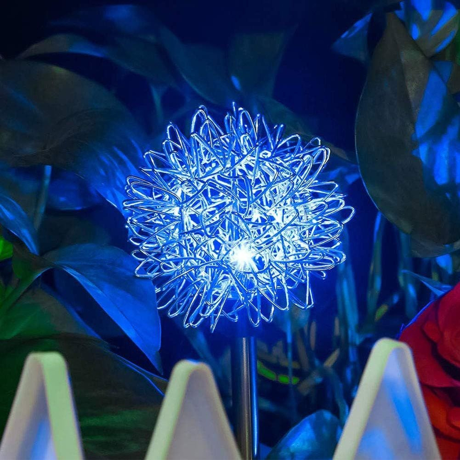 WhatsApp Image 2026-02-25 at 4.36.04 PM