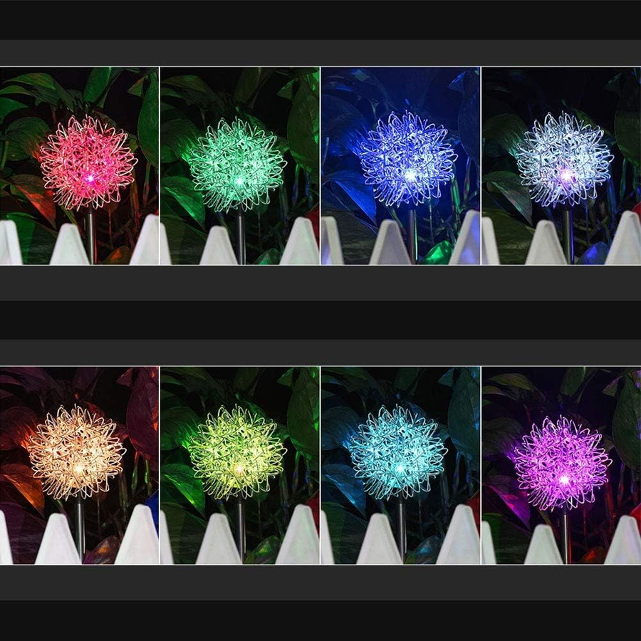 WhatsApp Image 2026-02-25 at 4.36.14 PM