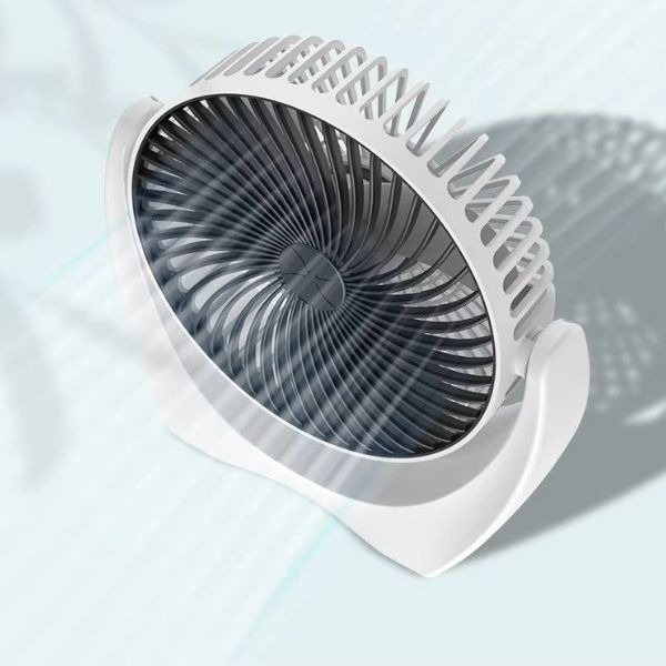 WhatsApp Image 2026-03-02 at 12.34.32 PM