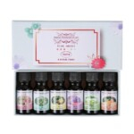 6 Pack Essential Oils Set (10ml Each)