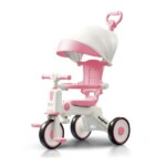 4 in 1 Tricycle with Canopy Adjustable Push Handle