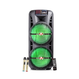 Audionic MH-1212 | 12″ x 2 Trolley Speaker