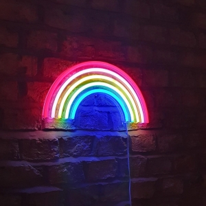 Rainbow Neon 15Inch Wall Mount Display Sign C-12
